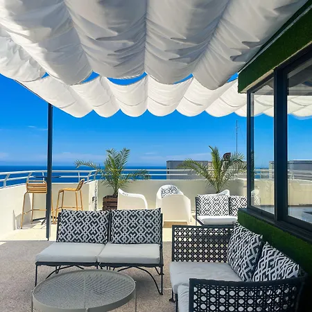 Dorisol Mimosa 푼샬