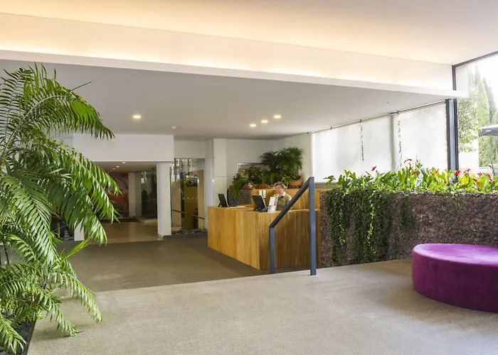 Dorisol Mimosa Funchal (Madeira)