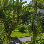Dorisol Mimosa 3* 丰沙尔