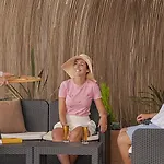 Dorisol Mimosa 酒店 丰沙尔