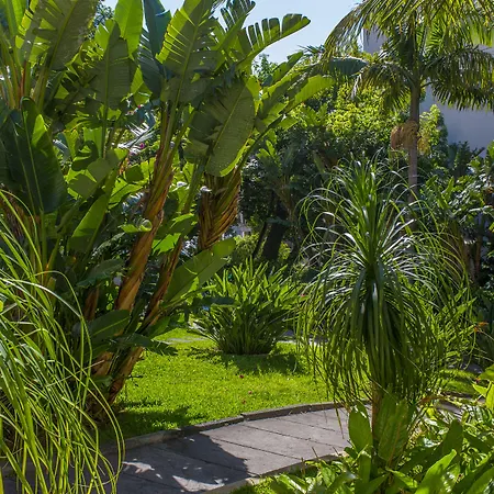 Dorisol Mimosa 3* فونشال