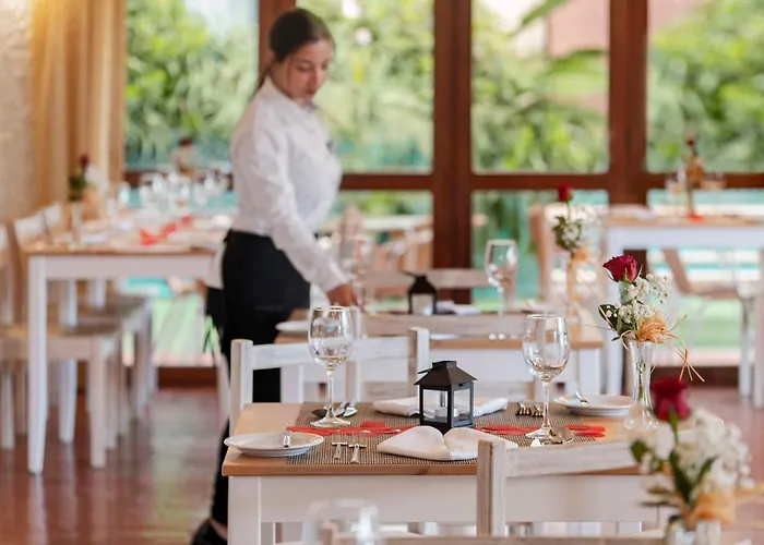 Dorisol Mimosa Funchal