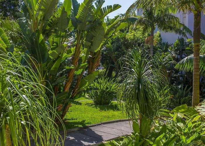 Dorisol Mimosa 3* Funchal (Madeira)