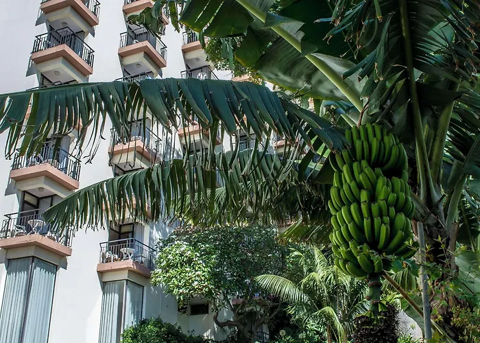 Hotel Dorisol Mimosa