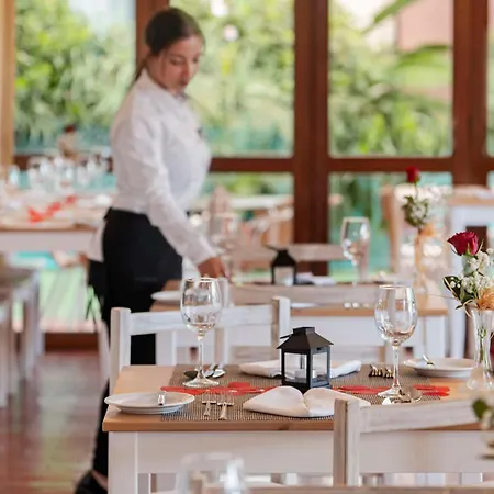 Dorisol Mimosa フンシャル